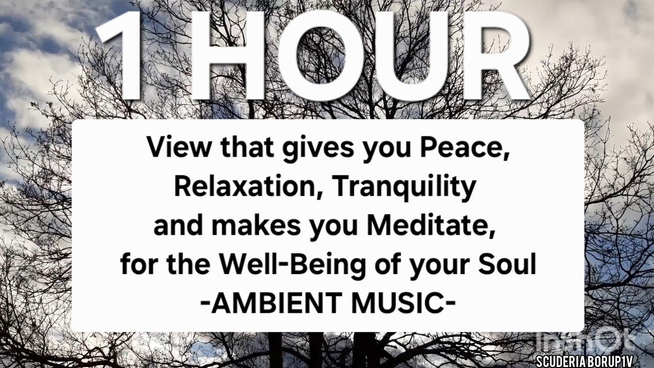1 HOUR | View that gives you Peace, Relaxation, Tranquility and makes you Meditate.. -AMBIENT MUSIC-