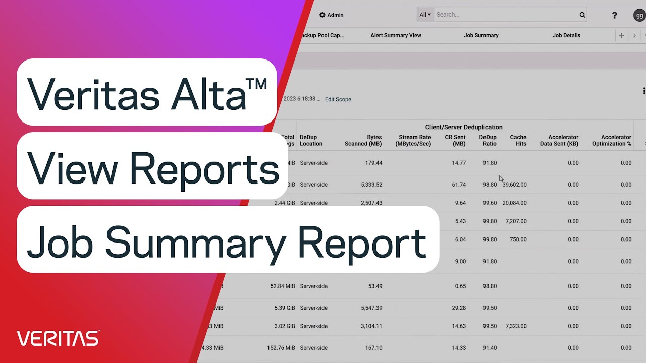 Veritas Alta&trade; View Reports Job Summary Report