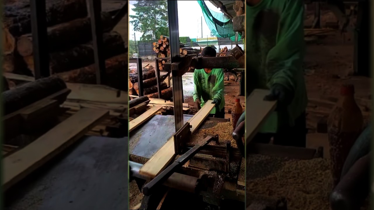 Cutting Rubber Wood with Bandsaw Machine | Speed and Accuracy