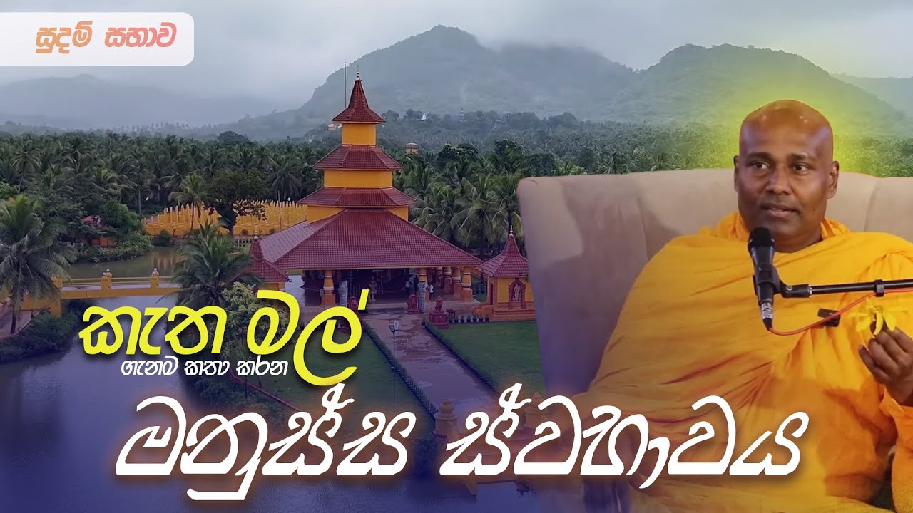 වැරදි නැති ජීවිතයක් සොයන්න එපා! | සුදම් සභාව දේශනාව