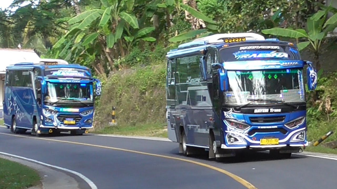 ARTIS BUS TELOLET  BUS BAYEM TRANS RAESHA ADREENA VS RAESHA CORONG ATAS