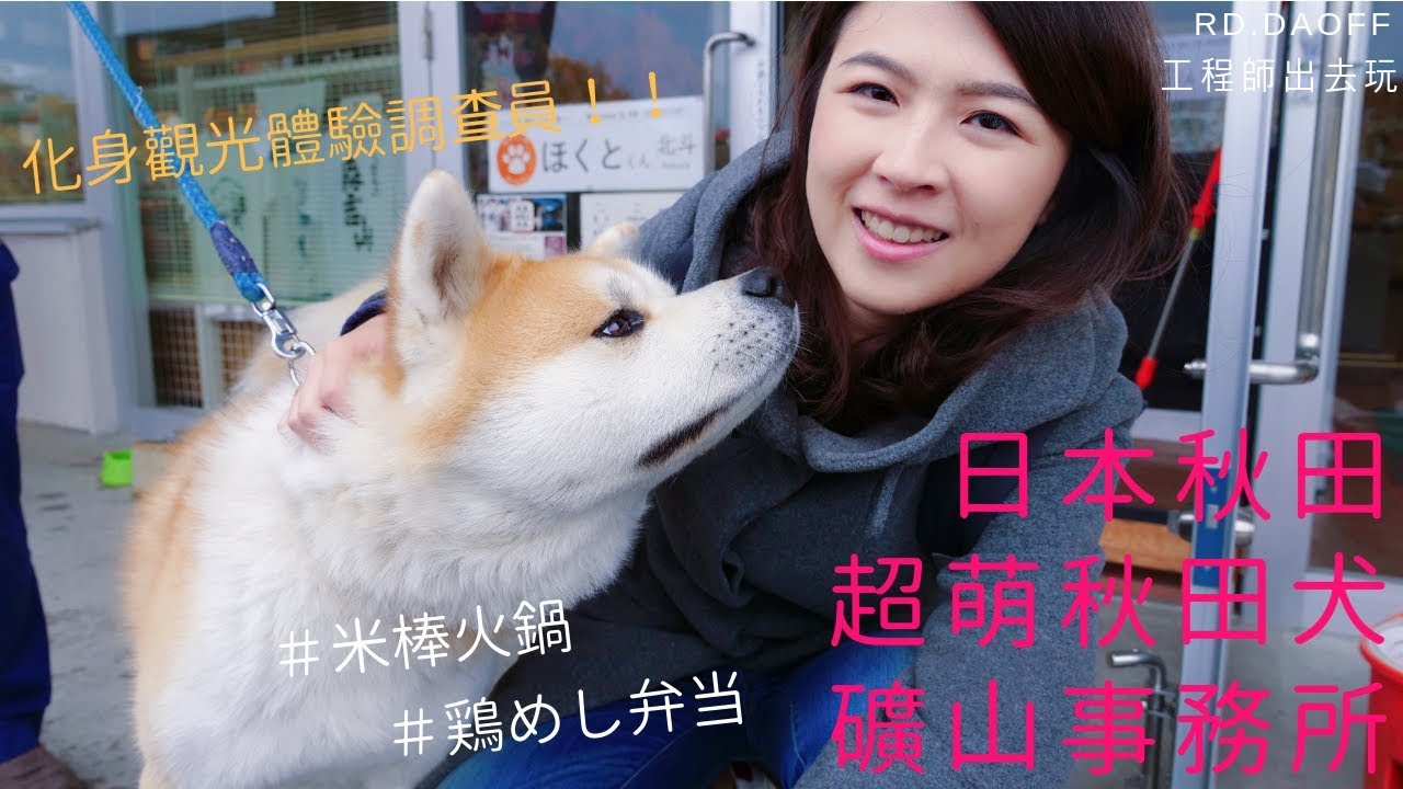 【日本秋田】超萌秋田犬來了 Ｘ 觀光體驗調查員初體驗｜工程師出去玩 rd.dayoff