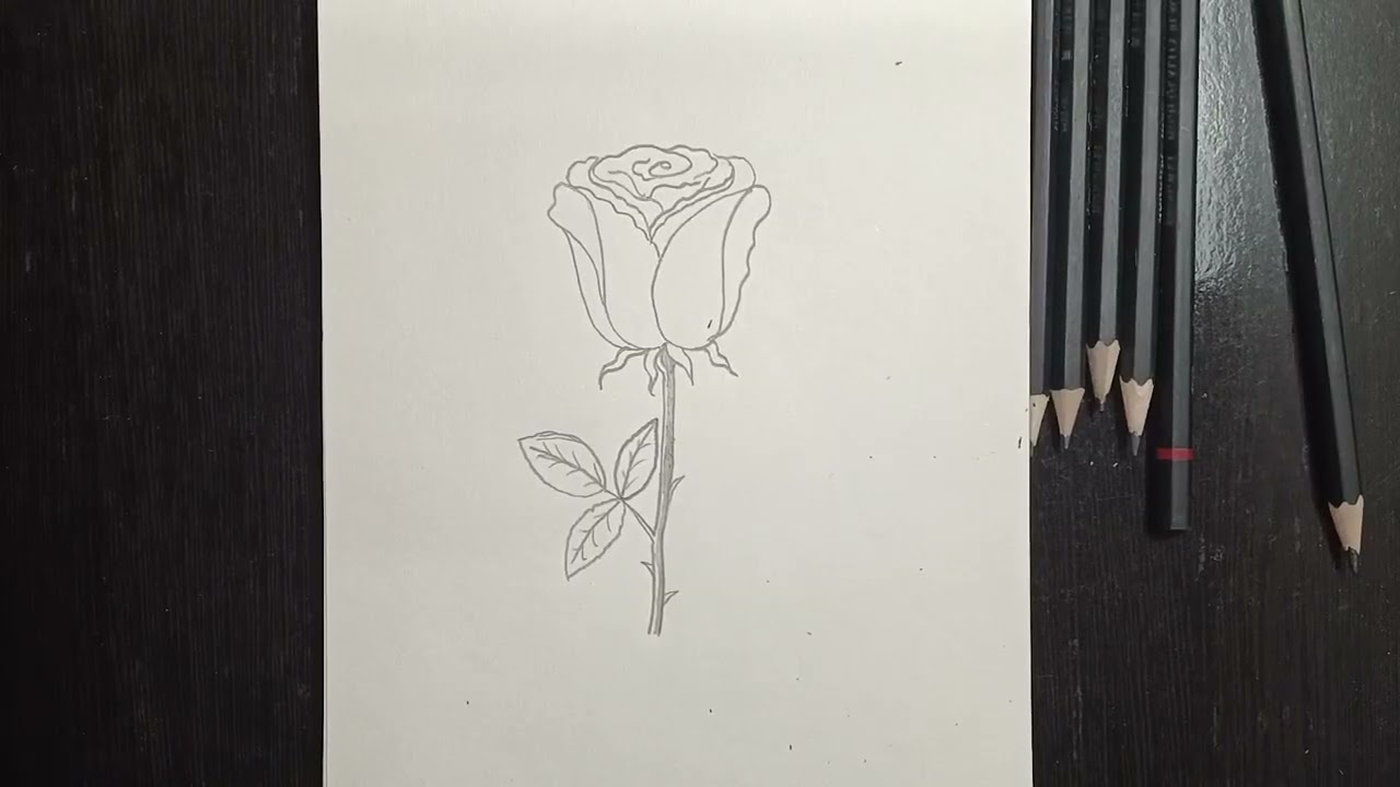 Как нарисовать розу 🌹 шаг за шагом. Научитесь рисовать розу шаг за шагом, легко и просто. Роза 🌹🔮