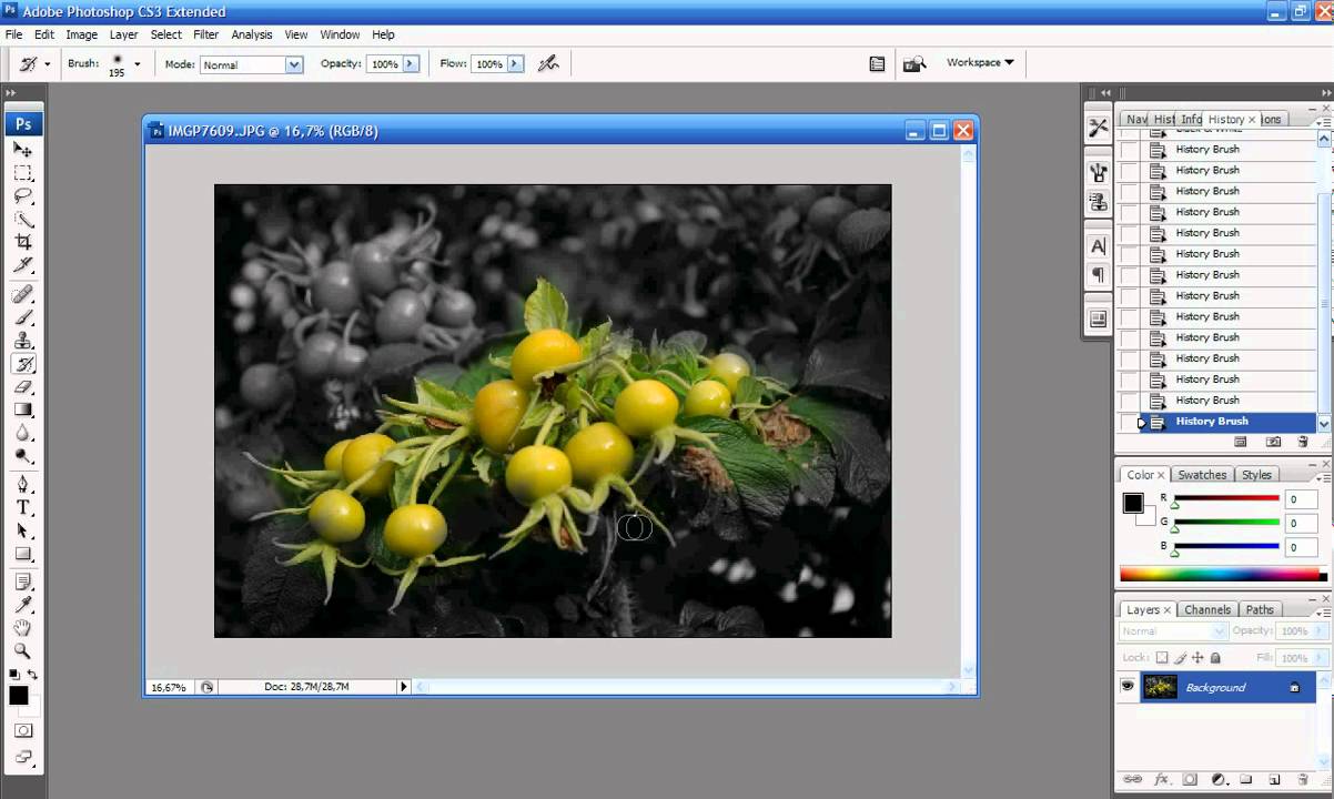 Photoshop: utilizzo del pennello storia