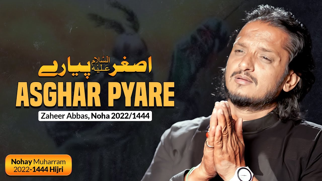 Nohay 2022 | Asghar Pyare | Syed Zaheer Abbas Noha 2022 | New Noha Ali Asghar 2022 | New Noha 2022