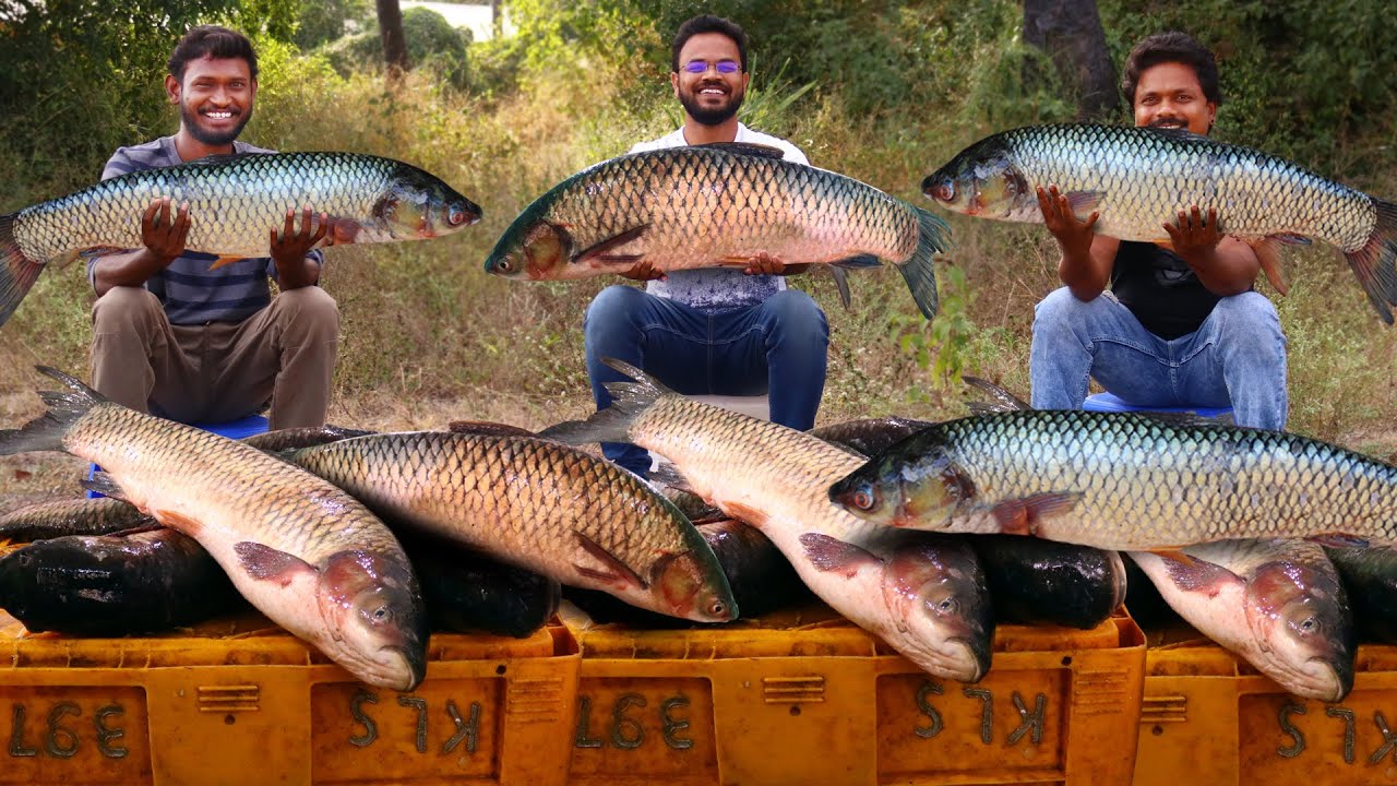 Amazing Fish Curry Recipe | Traditional Fish Recipe by Grandpa Kitchen