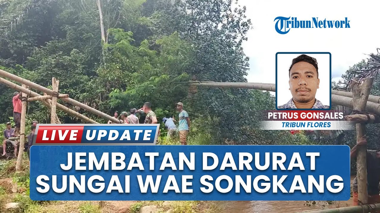 Warga Manggarai Barat Bangun Jembatan Darurat Imbas Sungai Wae Songkang Meluap gegara Hujan 4 Hari