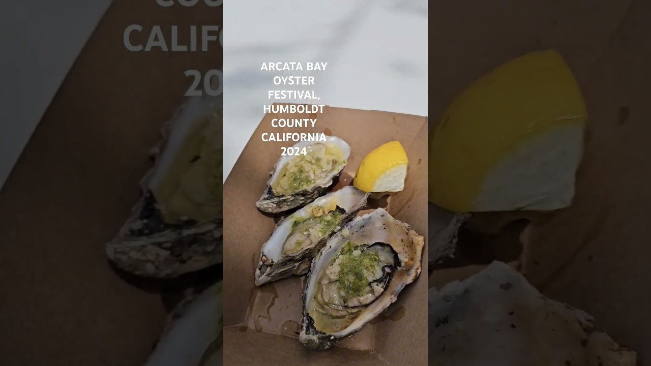 Arcata Bay Oyster Festival 2024 | Humboldt County&rsquo;s Wildest Shellabration 🦪🎶🔥