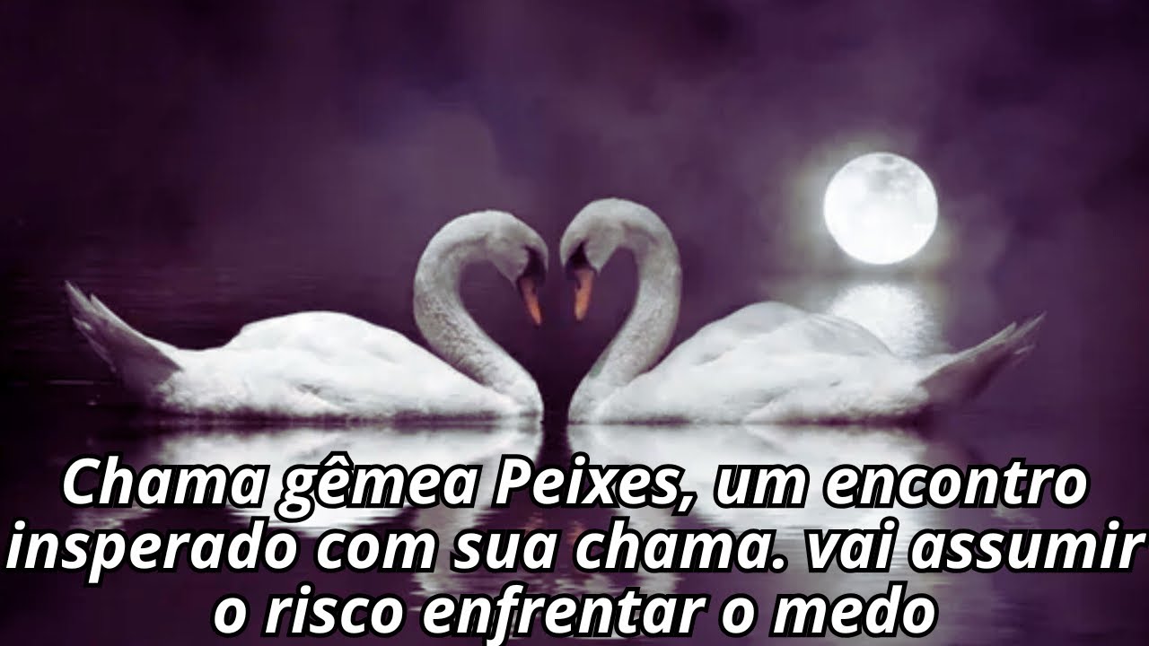 Chama gêmea Peixes, um encontro insperado com sua chama. vai assumir o risco enfrentar o medo
