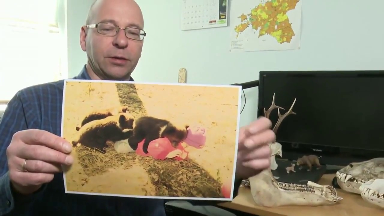 #083 Peep Männil: Kuidas näeb välja ulukite rikkus Eesti metsades?