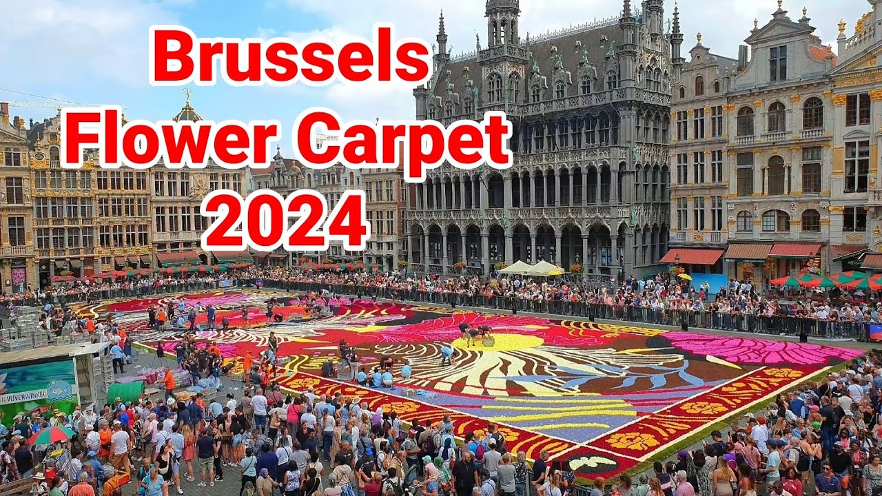 Behind The Scenes: Crafting the Stunning 2024 Brussels Flower Carpet