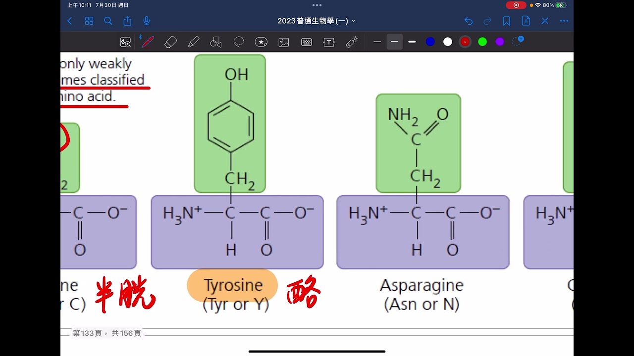 普生Ch5.1 胺基酸詳細介紹與口訣