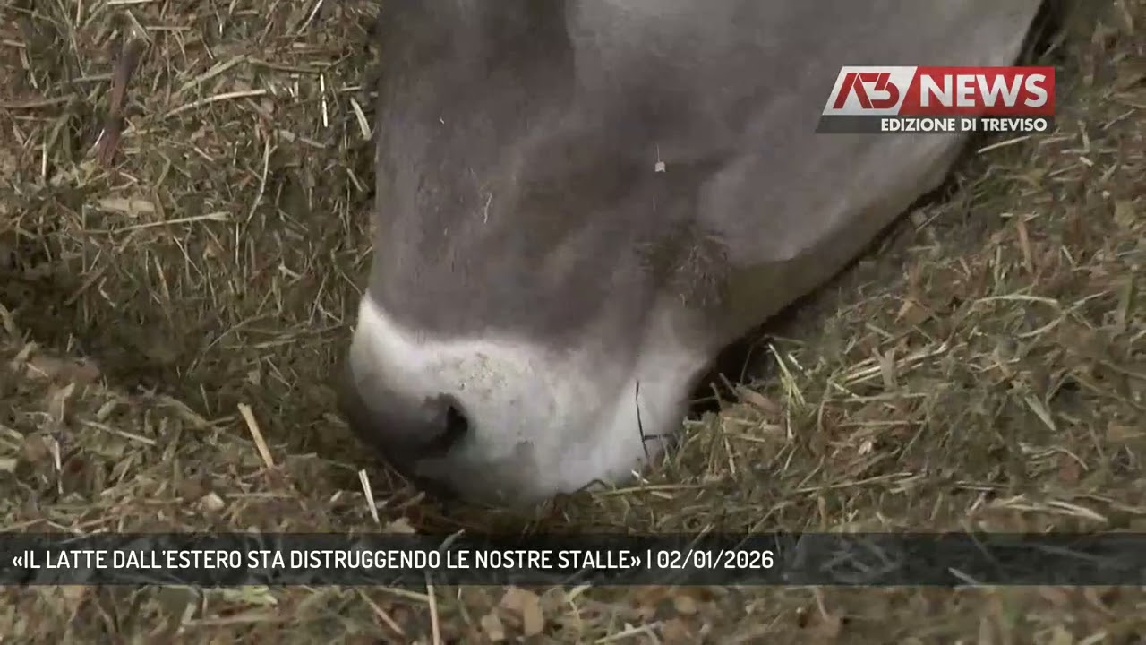 «IL LATTE DALL’ESTERO STA DISTRUGGENDO LE NOSTRE STALLE» | 02/01/2026