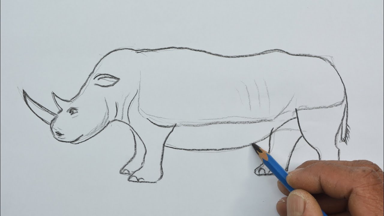How to Draw a Rhino for Kids