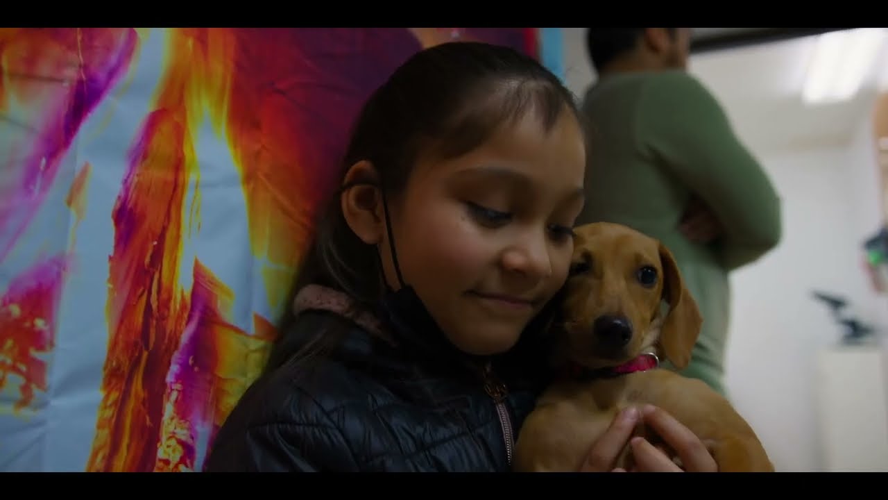 About Emancipet