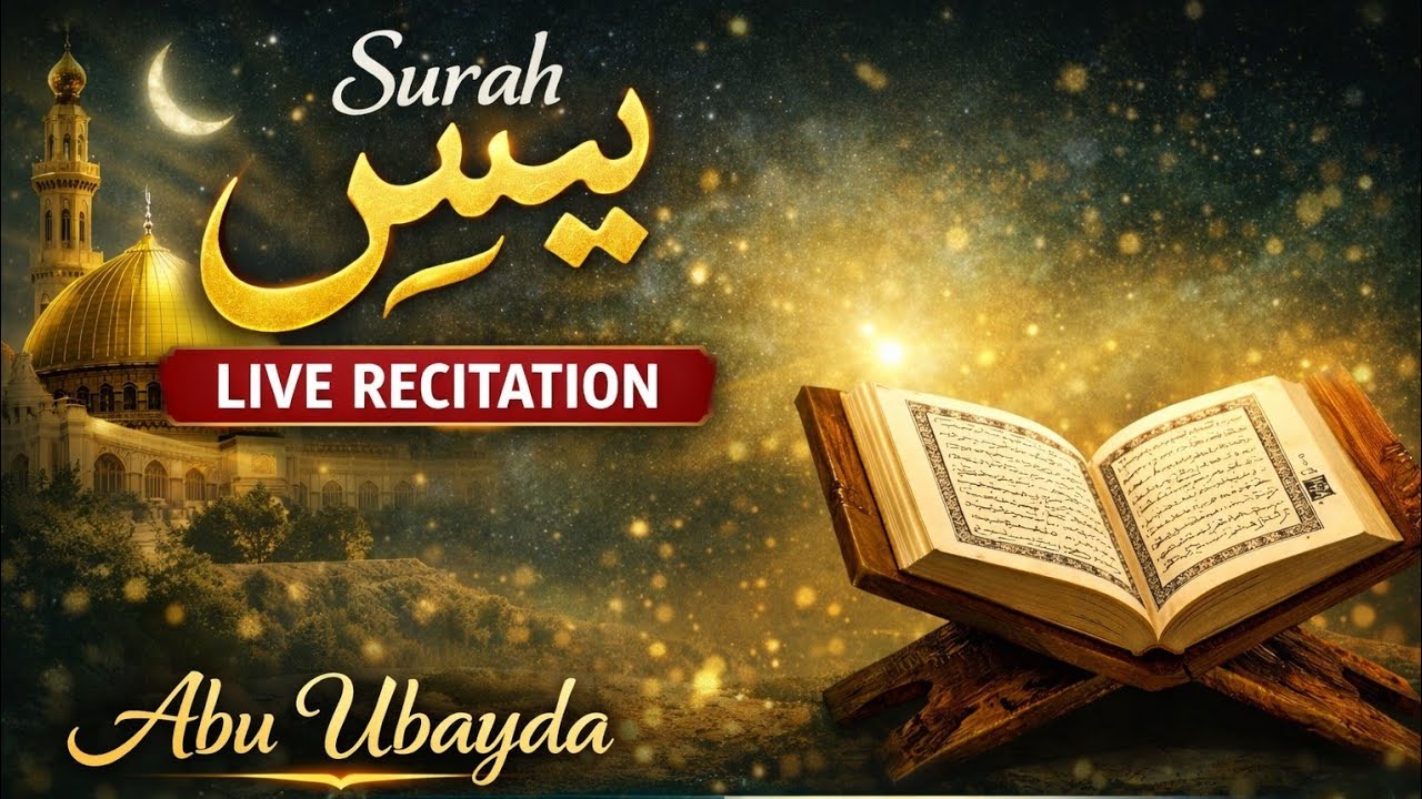 Surah Yaseen Recitation | Beautiful Quran Tilawat | Abu Ubayda | Heart Touching Recitation