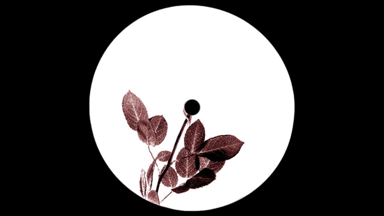 Minimal House Microhouse Rominimal Deep Tech Mix [Unknown #10]