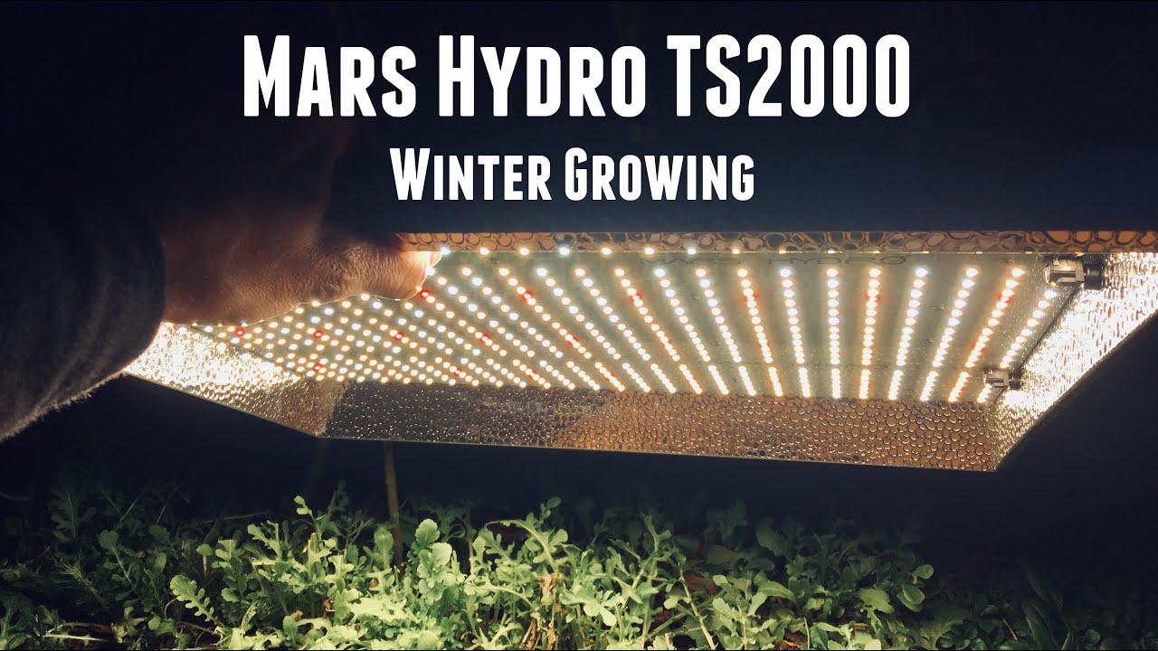 Mars Hydro TS 2000 &mdash; обзор и промокод Grow Light &mdash; Winter Garden