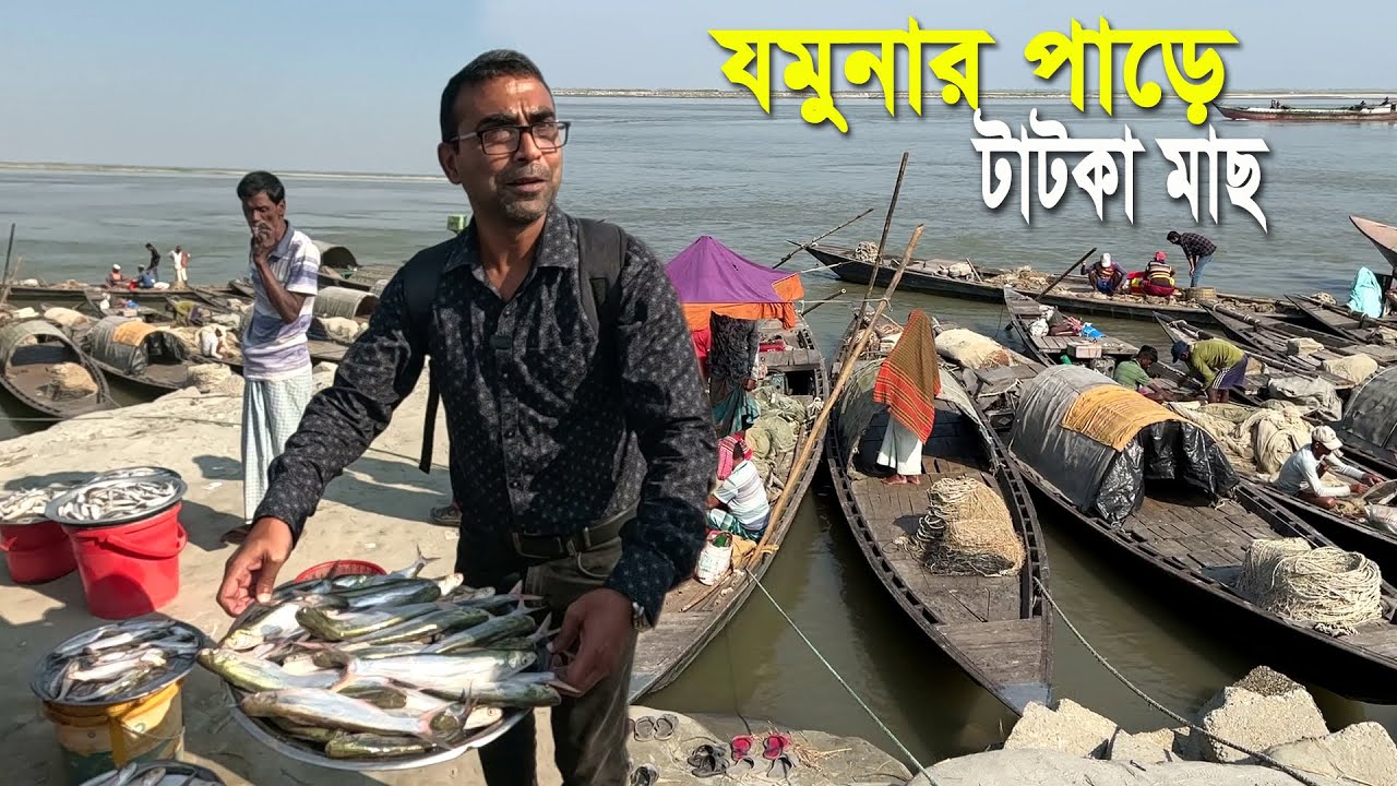 যমুনা পাড়ের মেঘাই ঘাটে নদীর সুস্বাদু টাটকা মাছ নিয়ে জেলেরা নৌকা ভিড়ায় | Rural Village life in BD