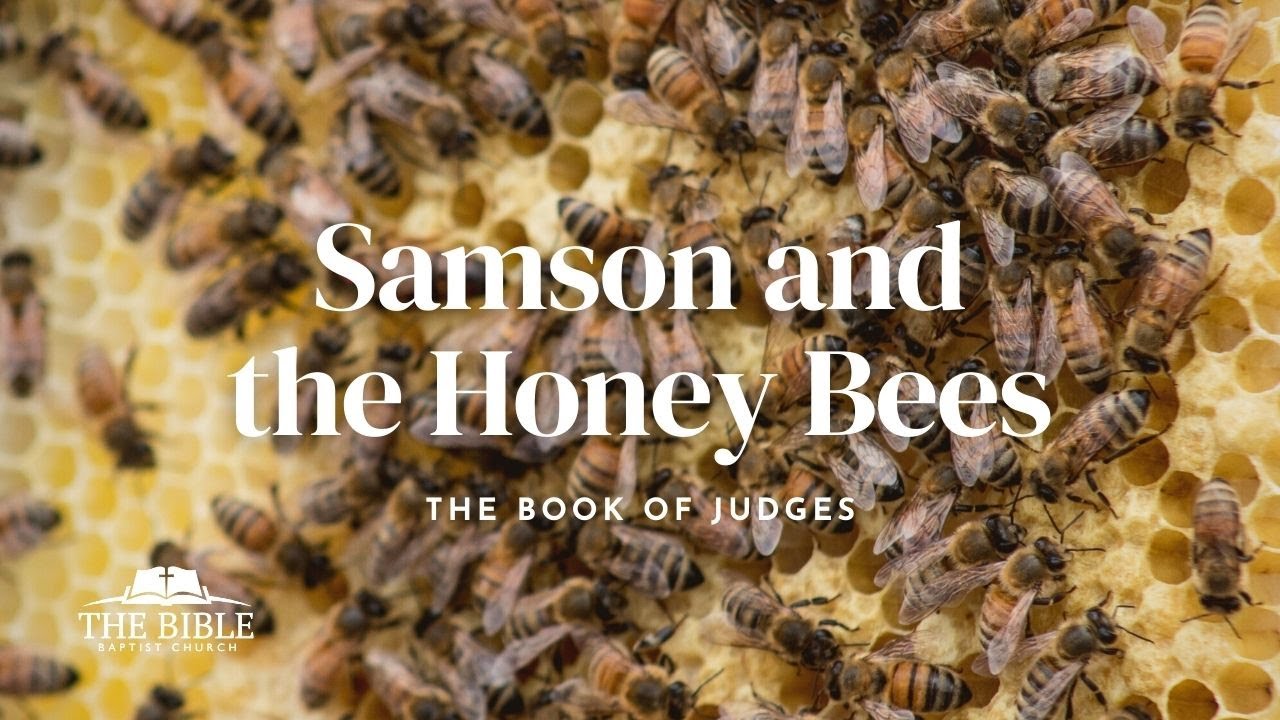 Samson and the Honey Bees | Judges Series - Lesson 27