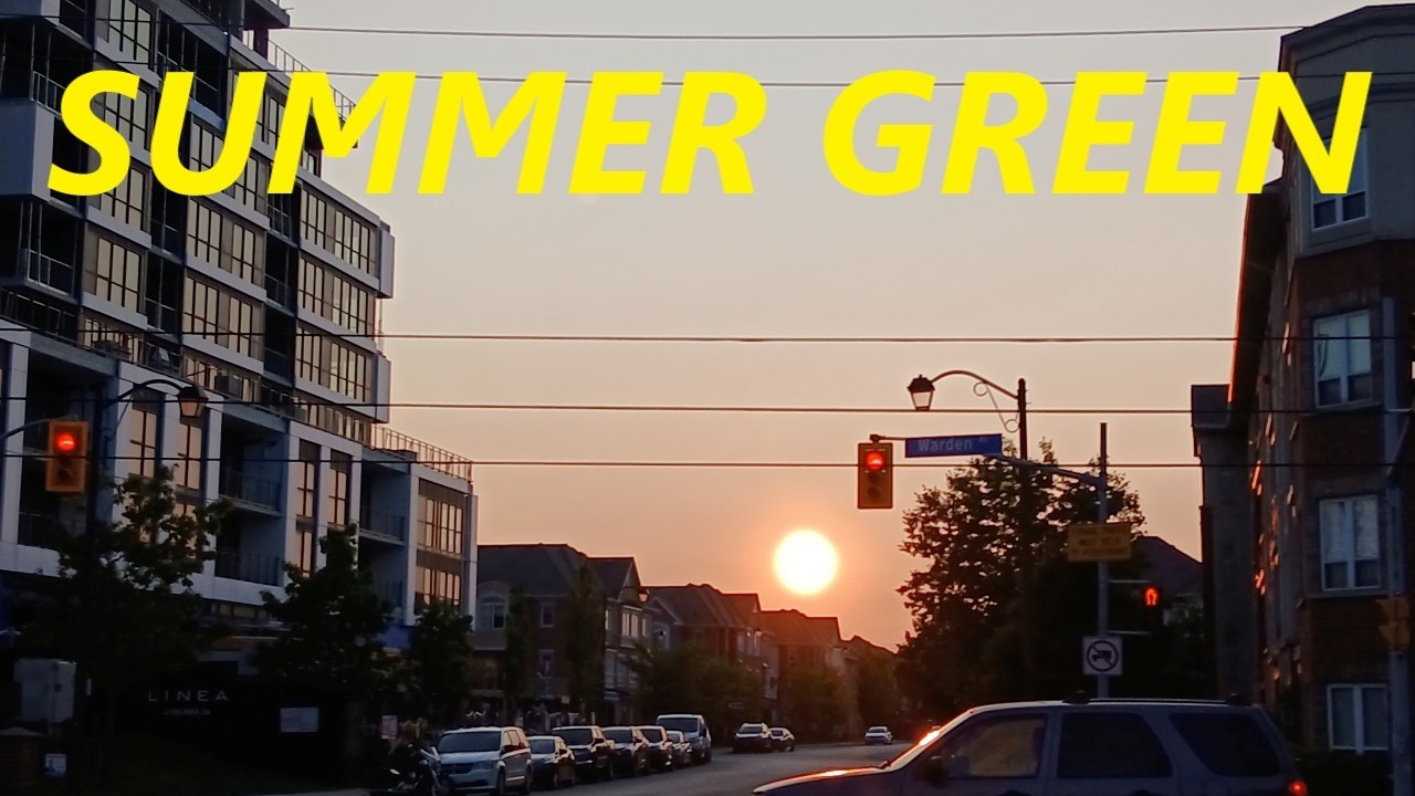 Summer Green | Clairlea Park Toronto | Summer 2025