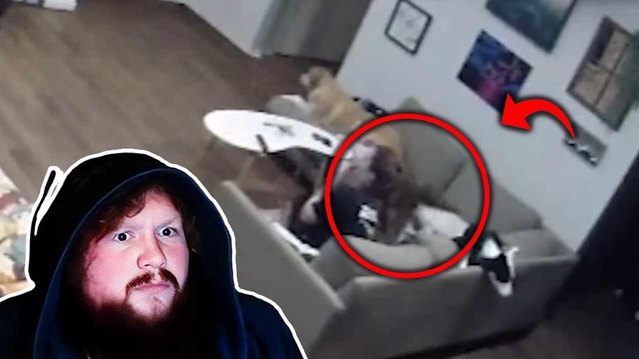 Caseoh attempts to DEBUNK these viral ghost videos....