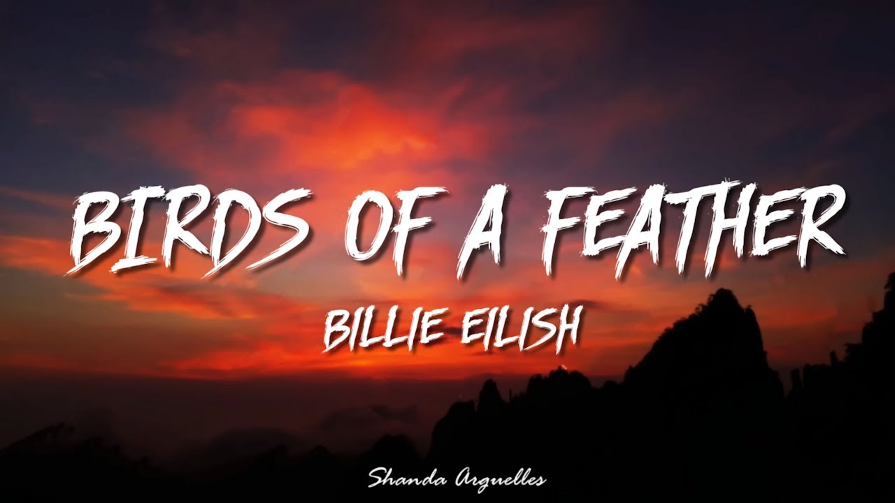 Billie Eilish - BIRDS OF A FEATHER (Lyrics)