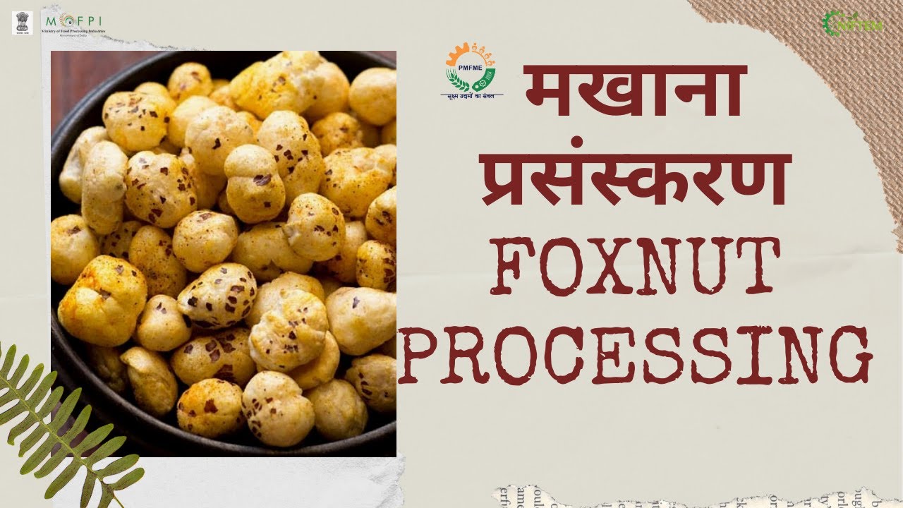 ROASTED MAKHANA(FOXNUT) PROCESSING / भुना मखाना प्रसंस्करण I NIFTEM PMFME SCHEME