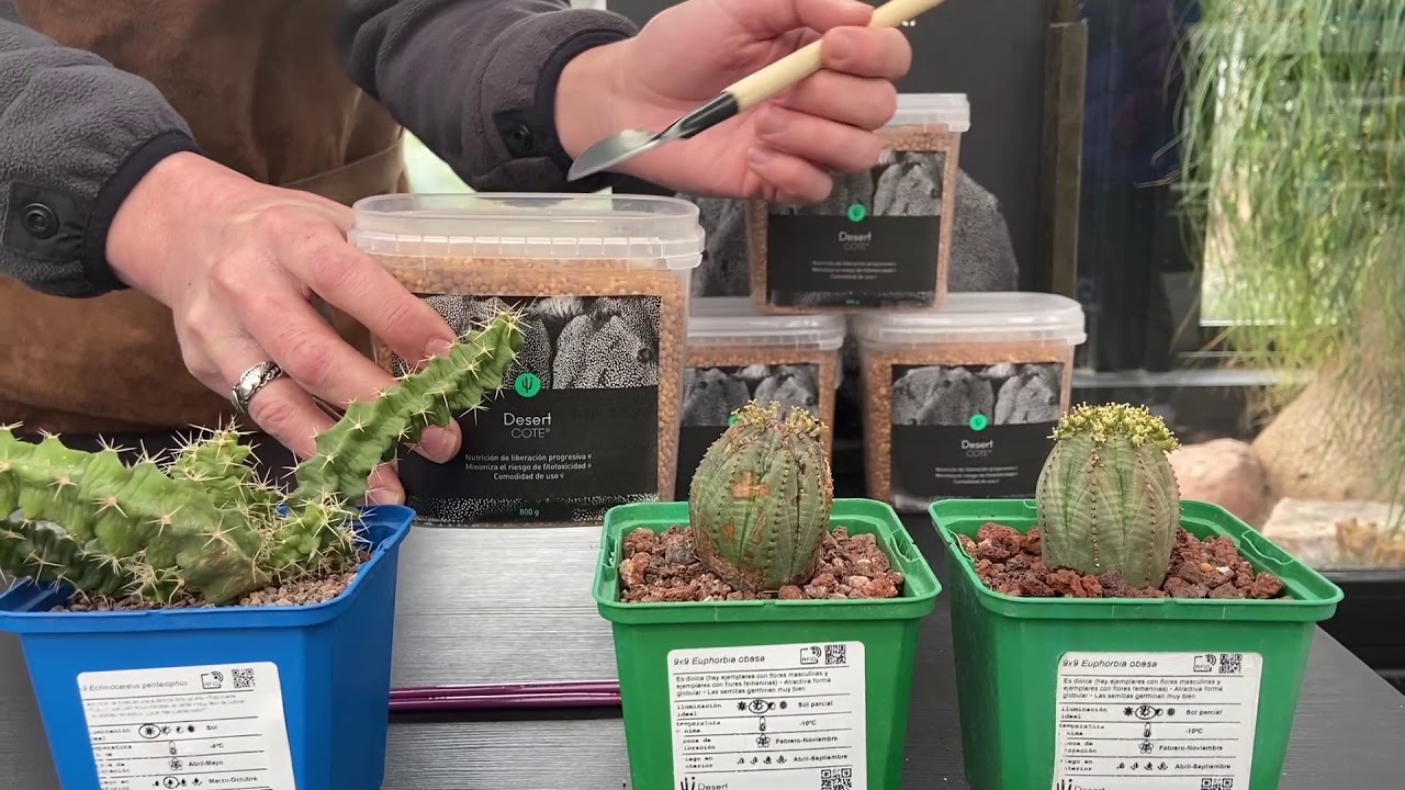 Desert TIPS. Capítulo 10 : Nutrición fácil de cactus y otras suculentas.