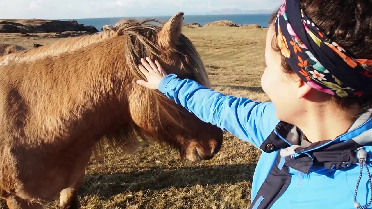 Isle of Rum, Scotland  (+Glenfinnan)