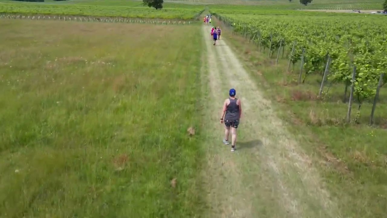 Denbies Festival of Running
