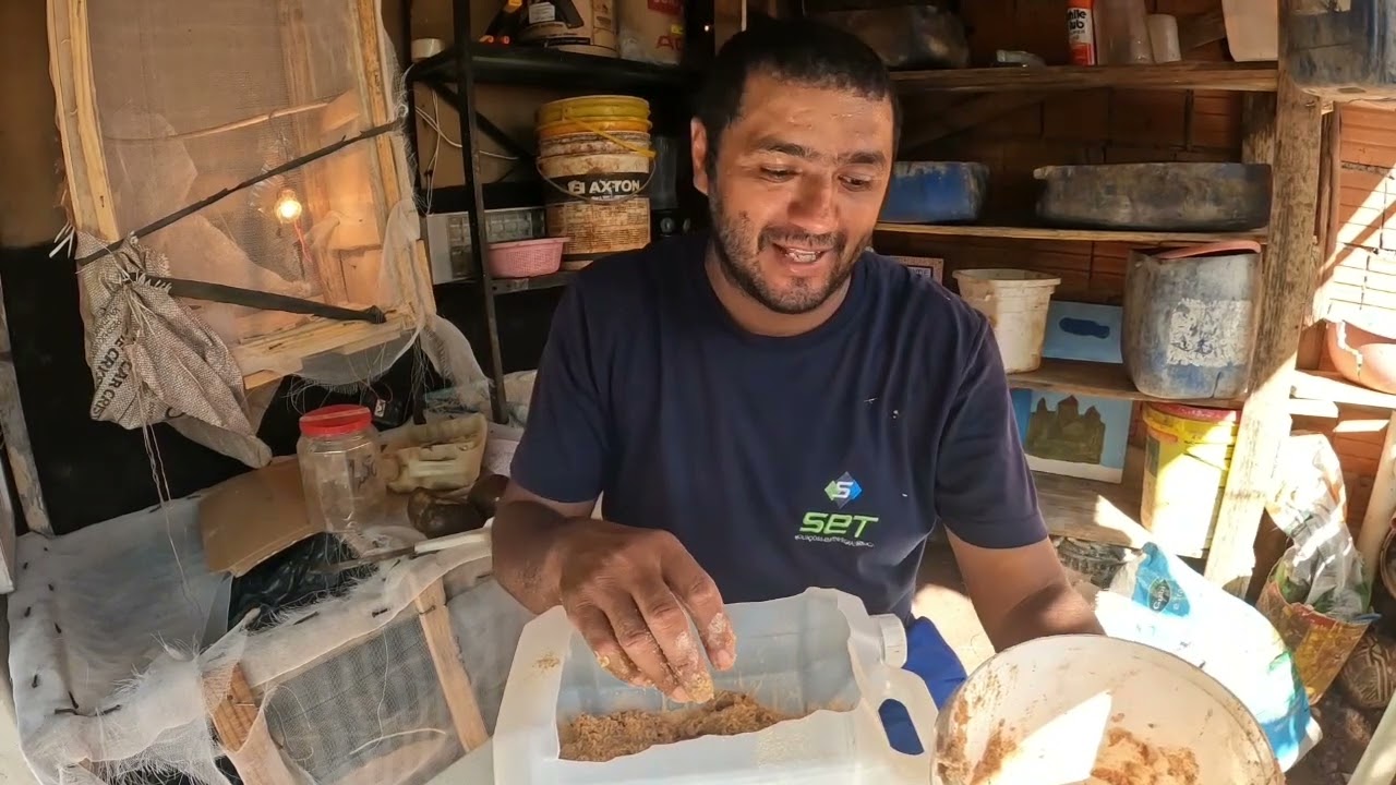 As minhas  primeiras  larvas  bichinho  da laranja