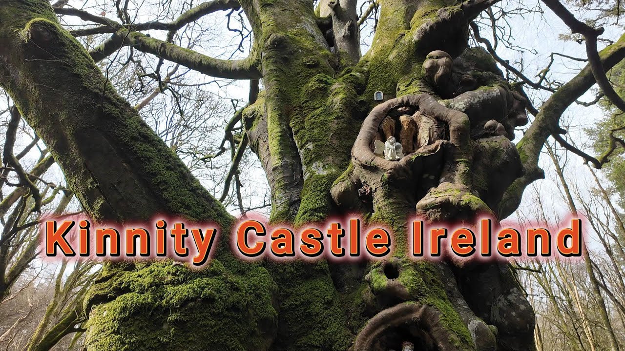 Fairy Forest. Binky Tree. Kinnitty Castle Ireland