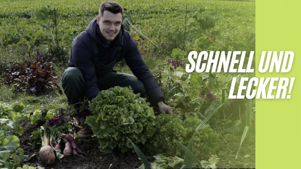 🥬 Endivien Untereinander| Frisch geerntet und zubereitet