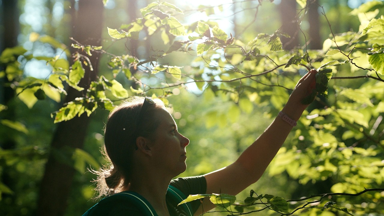 Together Green