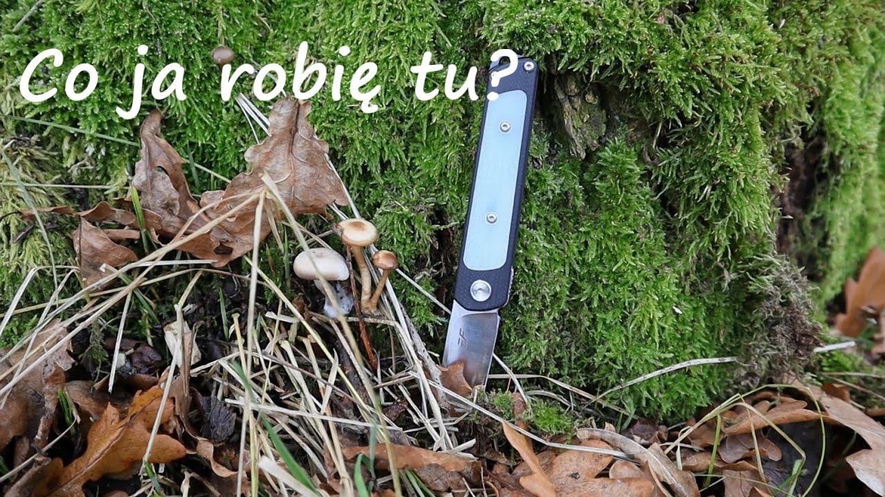 Do lasu weź coś innego - Eafengrow EF-922