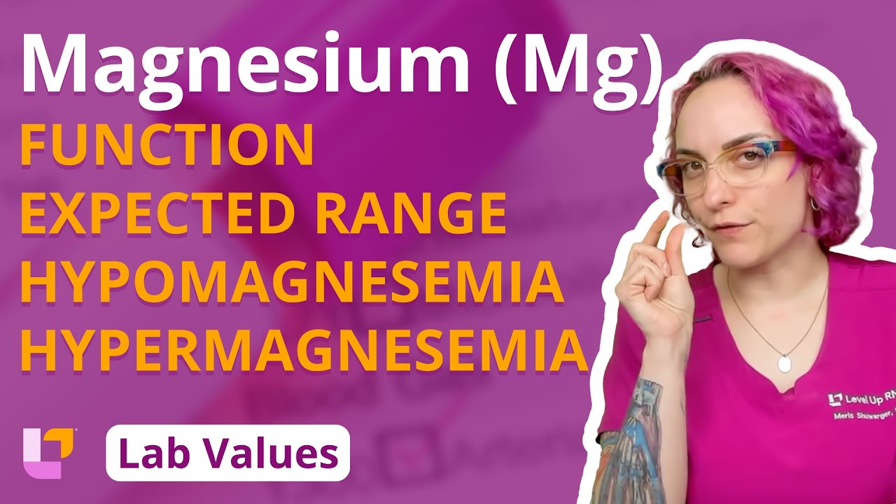 Magnesium (Mg): Lab Values - Function, Expected Range, Hypomagnesemia & Hypermagnesemia | @LevelUpRN