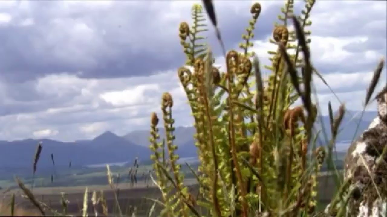 The Munro Baggers Lament HD.wmv
