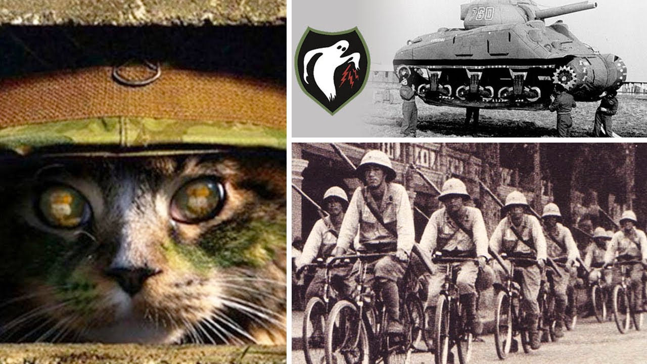 10 Extrañas Tácticas Militares que Tuvieron Éxito