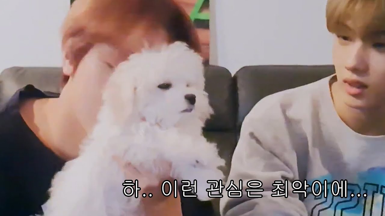 [NCT DREAM] 사는 게 힘든 대갈이