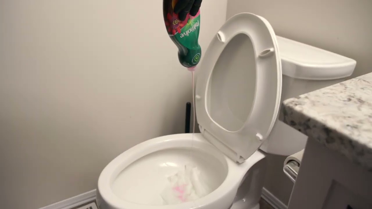 How to unclog a toilet
