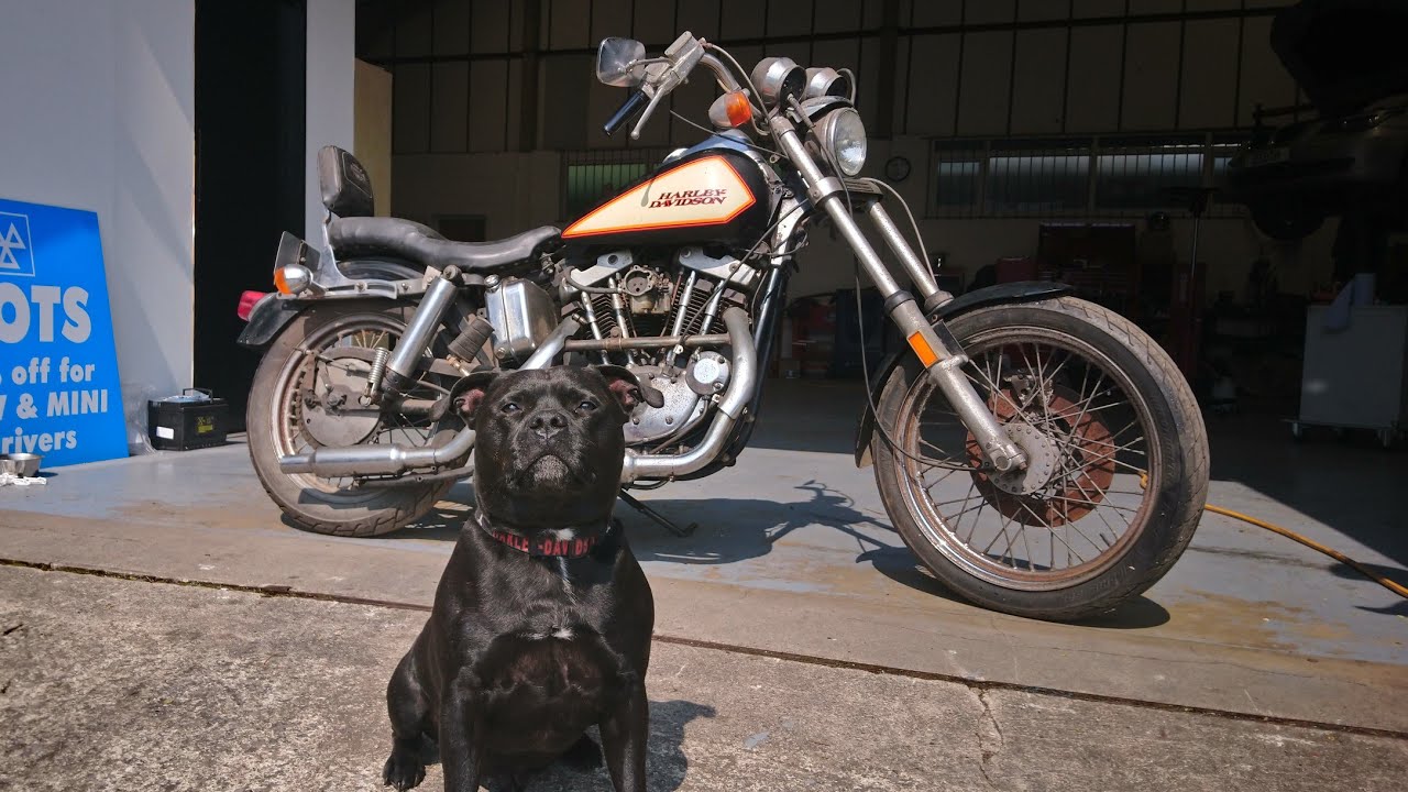 Barn Find 1975 IRONHEAD First start in 20 years