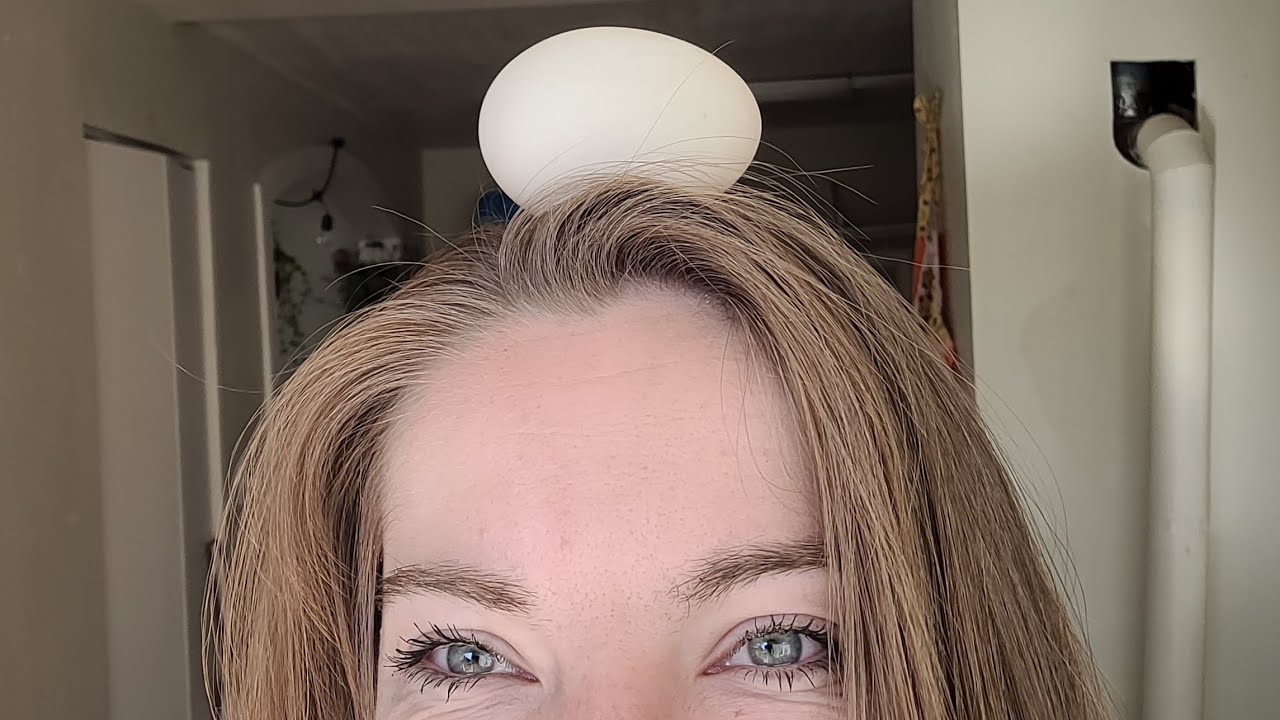 EGG-stra Haircare. Мою волосы ТОЛЬКО яйцами.