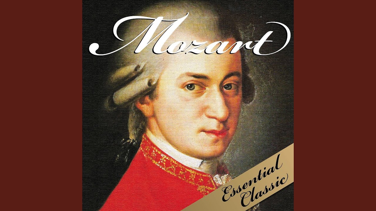 Eine kleine nachtmusik : 1st movement