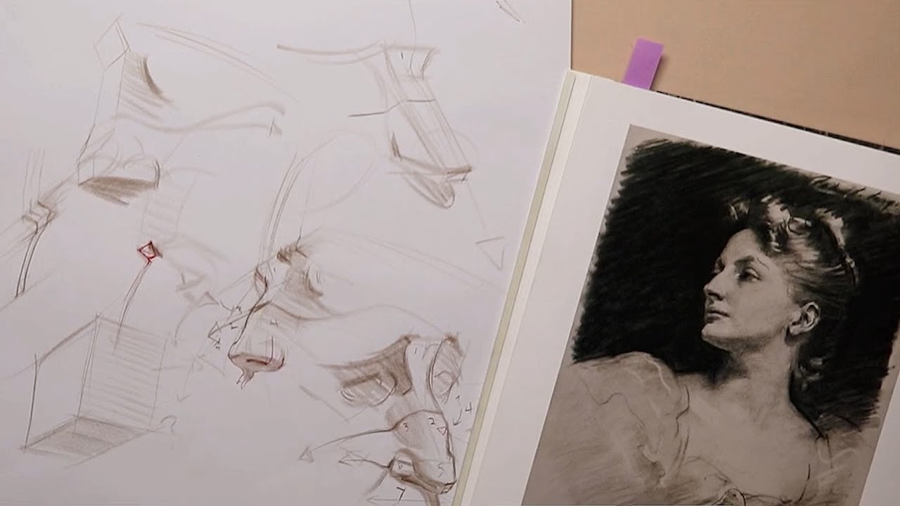 Drawing The Nose With All Of Its Parts