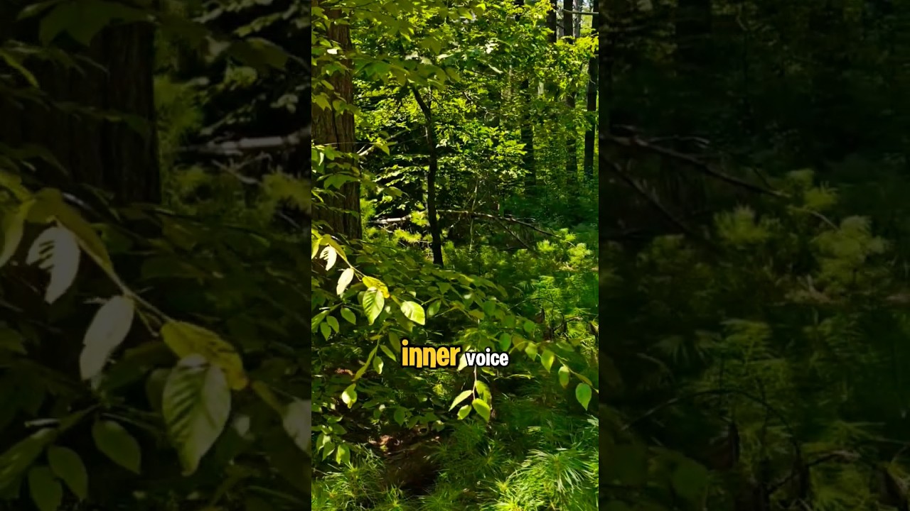 Try It Out #coin #flip #trending #experiment #exploremore