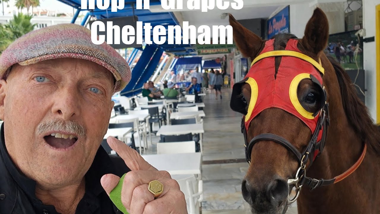 TENERIFE - Where to watch The Cheltenham Festival?