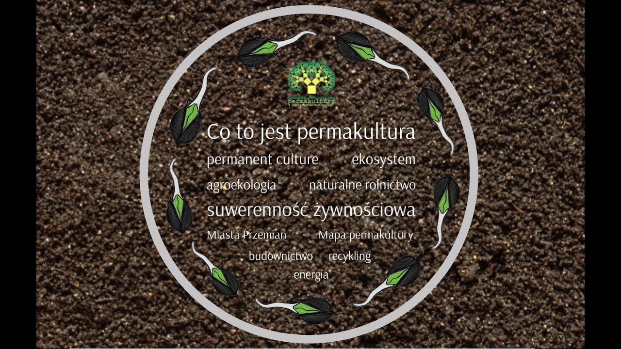 #1 - Co to jest permakultura