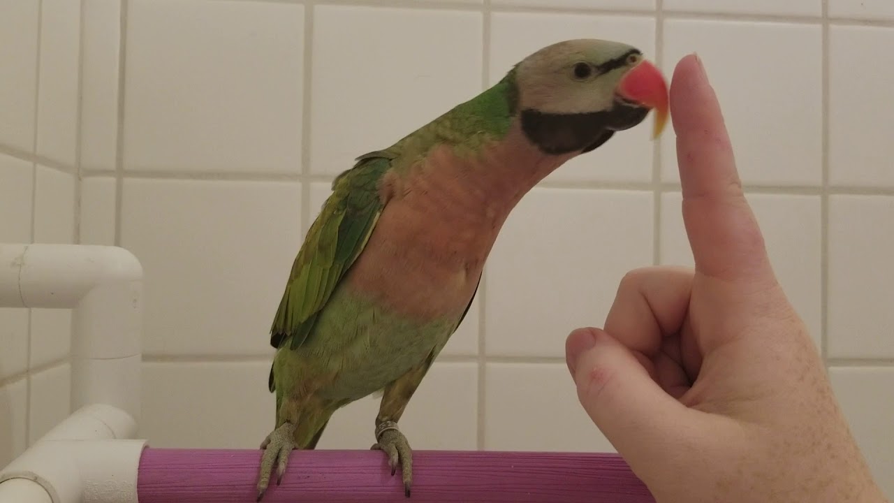 My Moustache Merlot: Someone Loves His Showers