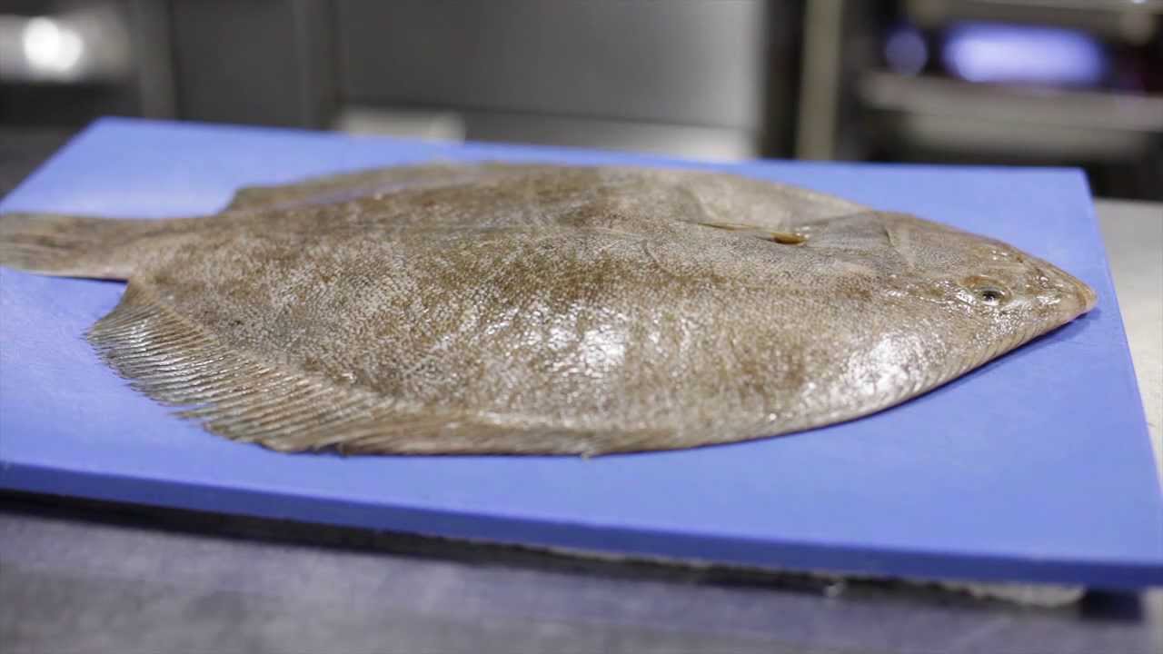 Poachers Inn Bandon Seafood Is Our Passion